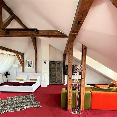 City Penthouse Mit Dachterrasse Freiburg im Breisgau Buitenkant foto