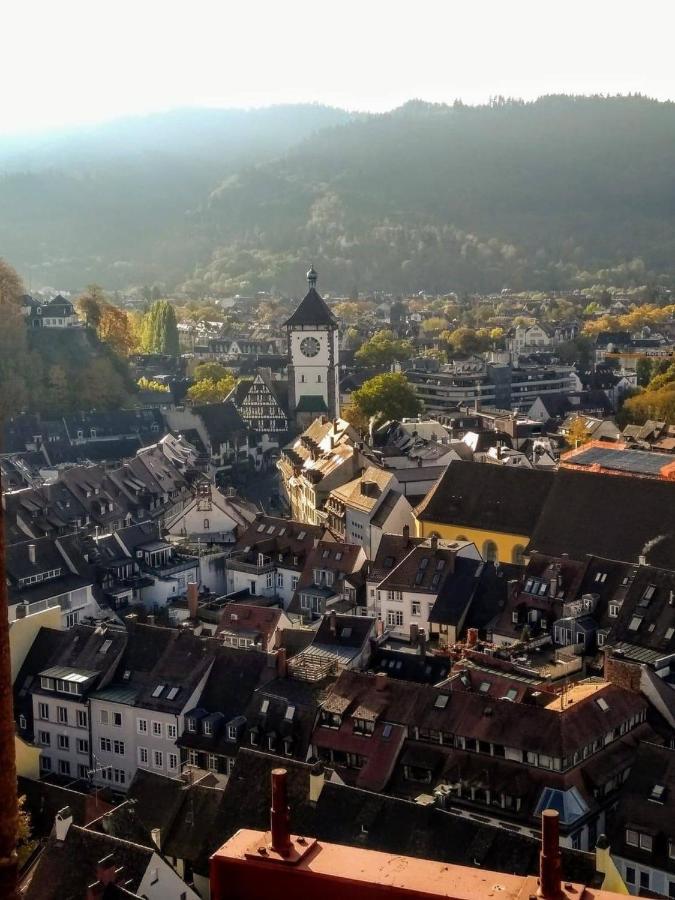 City Penthouse Mit Dachterrasse Freiburg im Breisgau Buitenkant foto