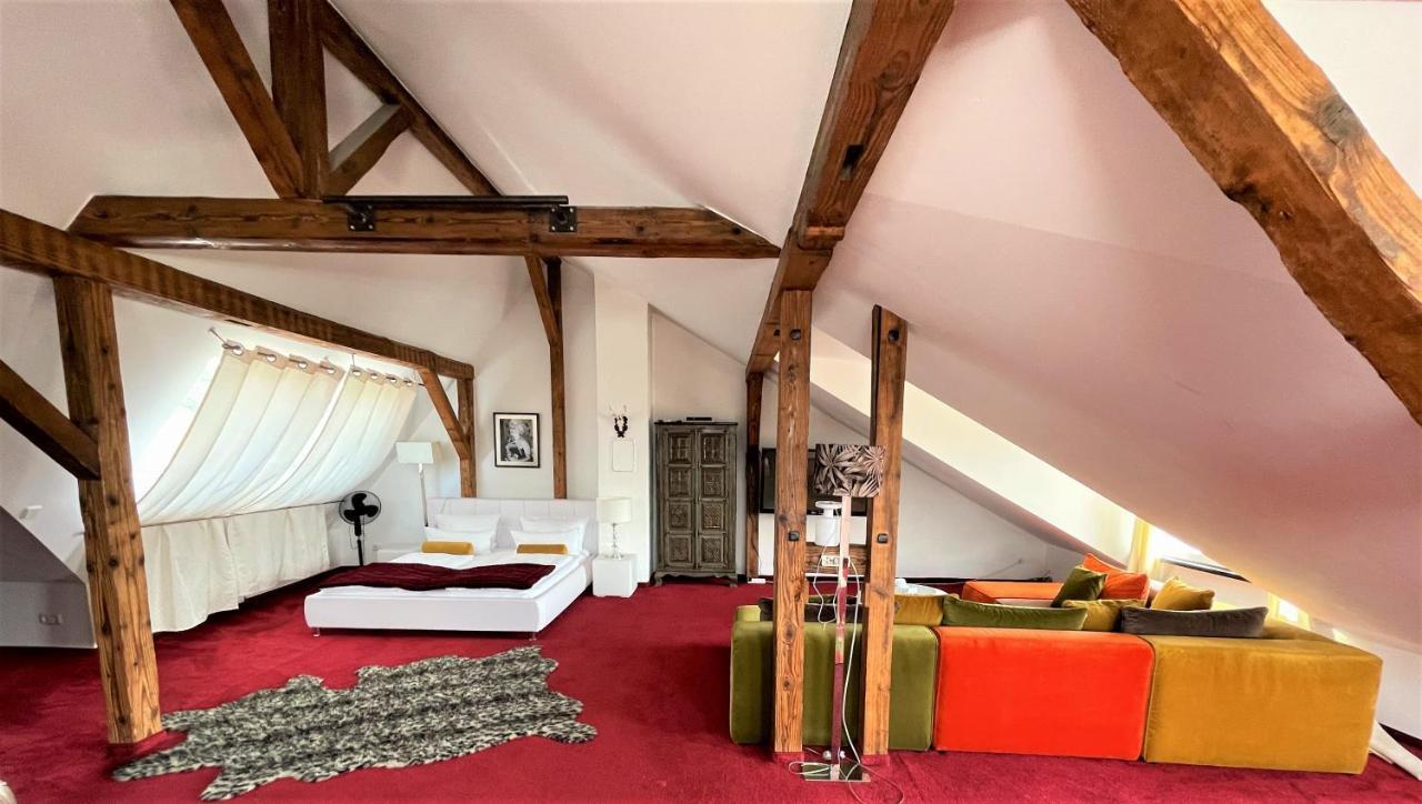 City Penthouse Mit Dachterrasse Freiburg im Breisgau Buitenkant foto