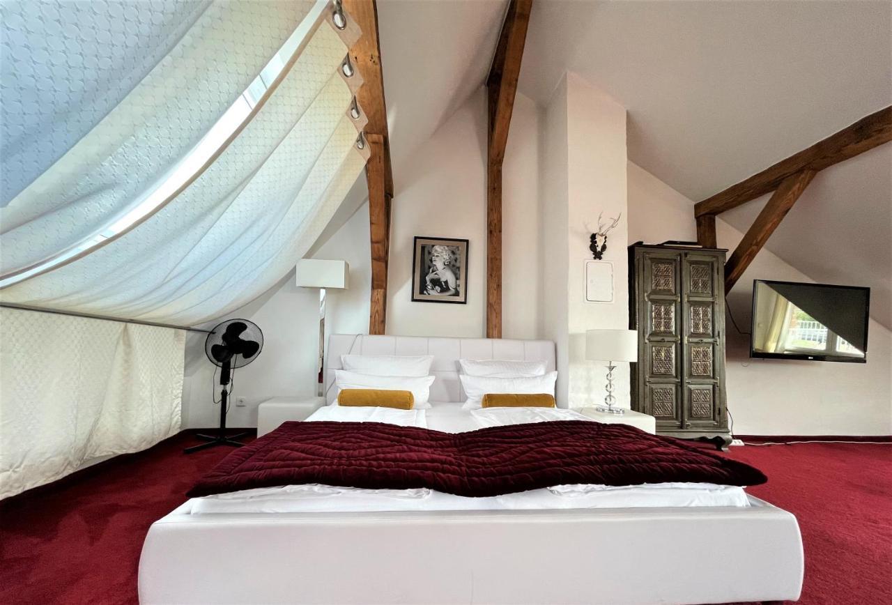 City Penthouse Mit Dachterrasse Freiburg im Breisgau Buitenkant foto